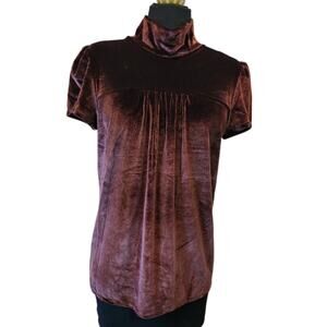 Dress/Tunic, Mock-Turtleneck, Brown-Burgundy Velvet, Child Medium/Adult X-small.